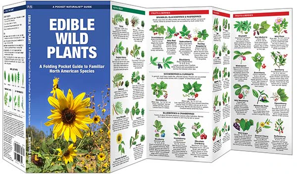 Edible Wild Plants Pocket Guide & Identifier (9781583551271) - Image 2