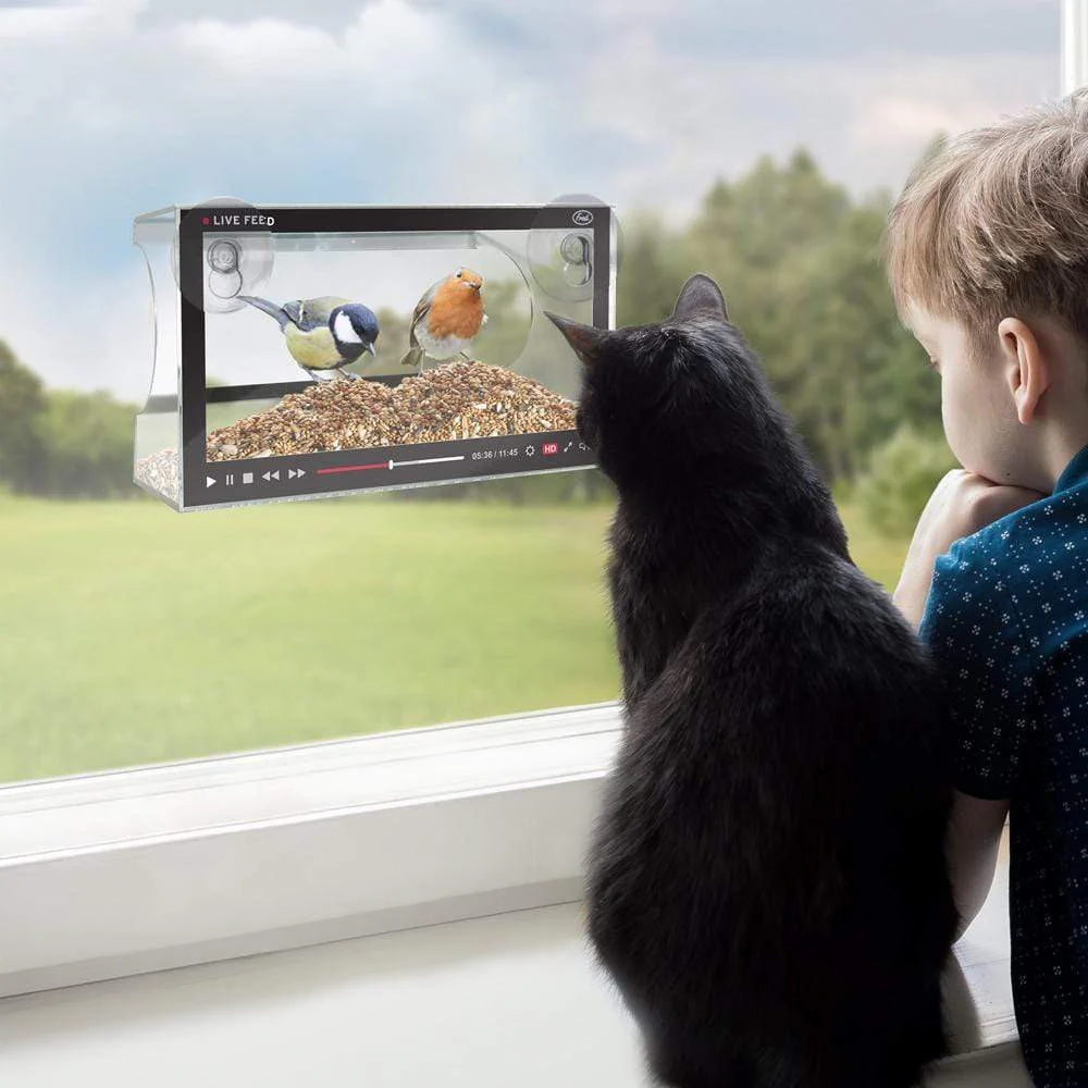 Fred Live Feed Howligan (5279968) - Image 2