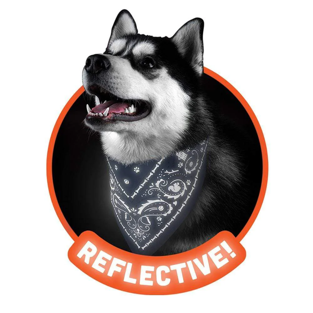 Fred Reflective Dog Bandana (2 Colors)(5264030) - Image 3