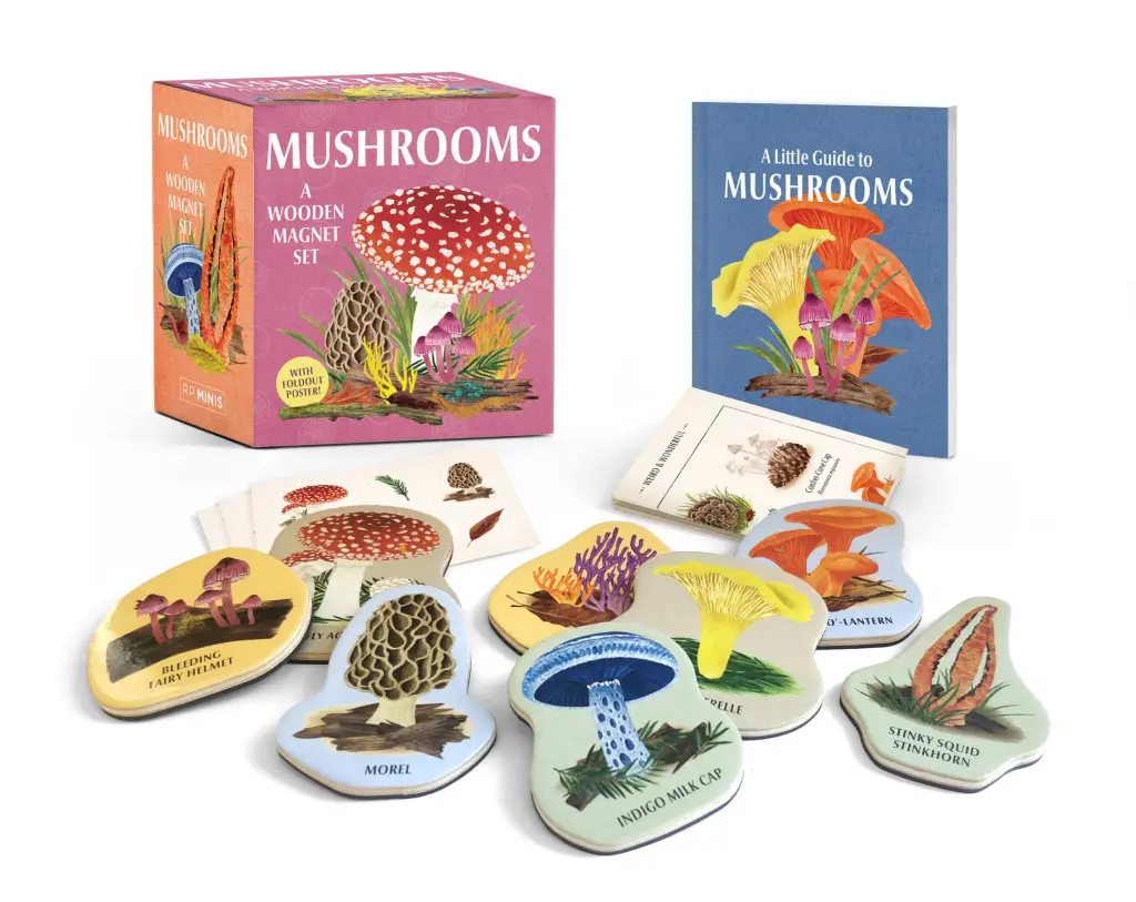 RP Minis Mushrooms: A Wooden Magnet Set