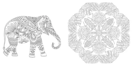 Hachette MIllie Marotta's Wildlife Wonders Coloring Book Adventures - Image 2