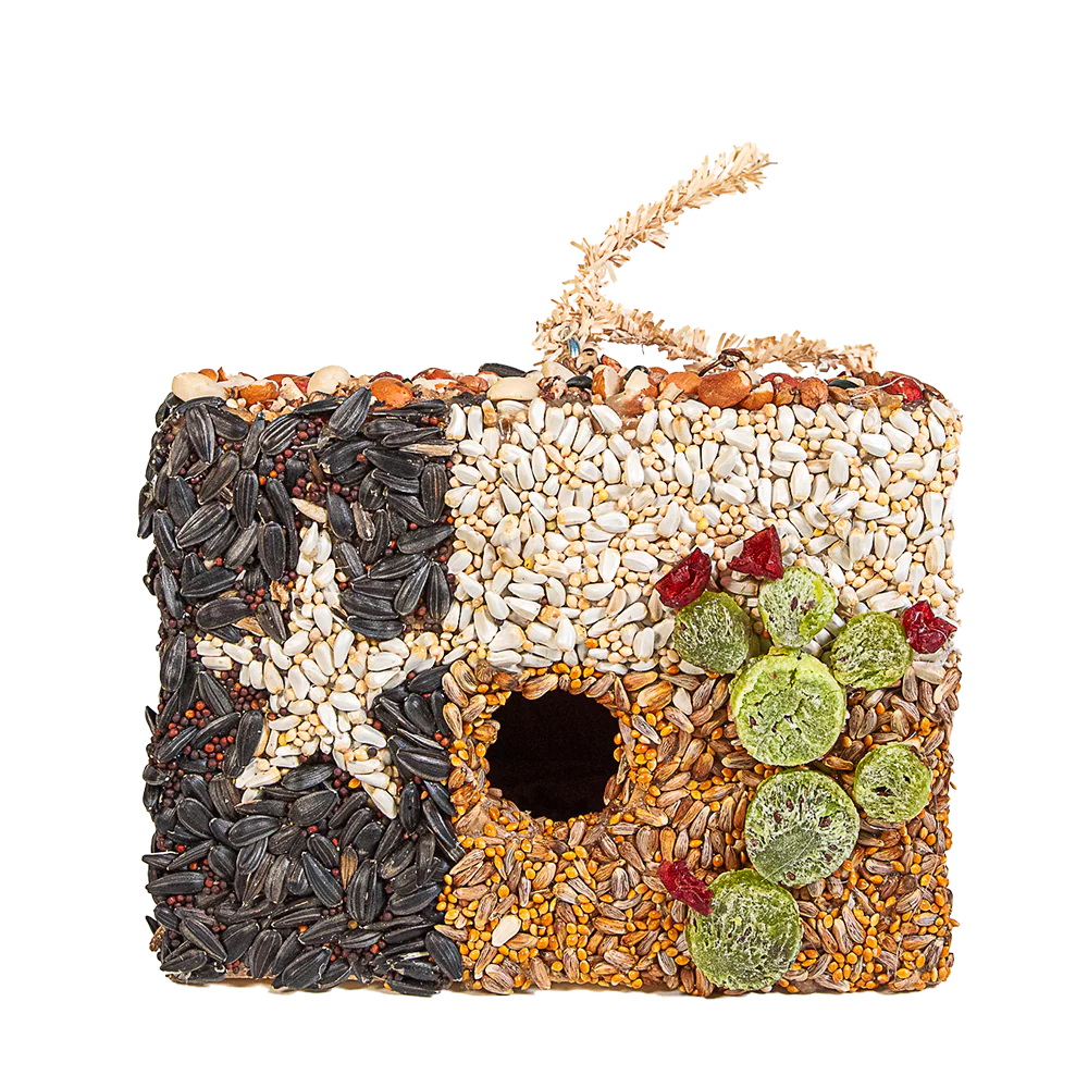 Heart of Texas House - Image 2