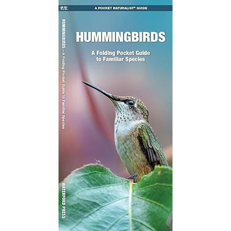 Hummingbird Folding Pocket Guide (9781583557914) - Image 3