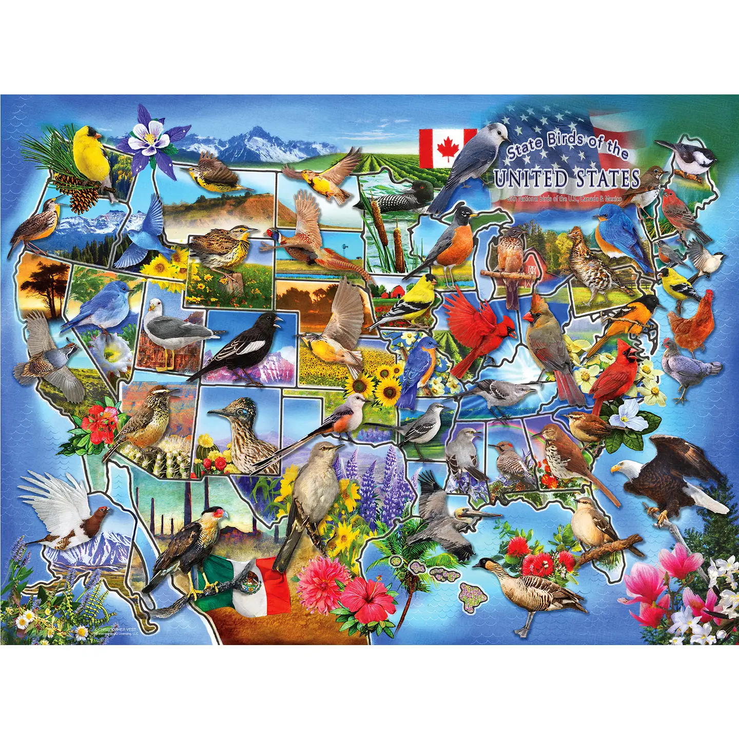 State Birds Of The U.S. 1000 Piece Jigsaw Puzzle (58649) - Image 3