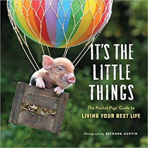 It's the Little Things Book (9781523508297) - Image 2