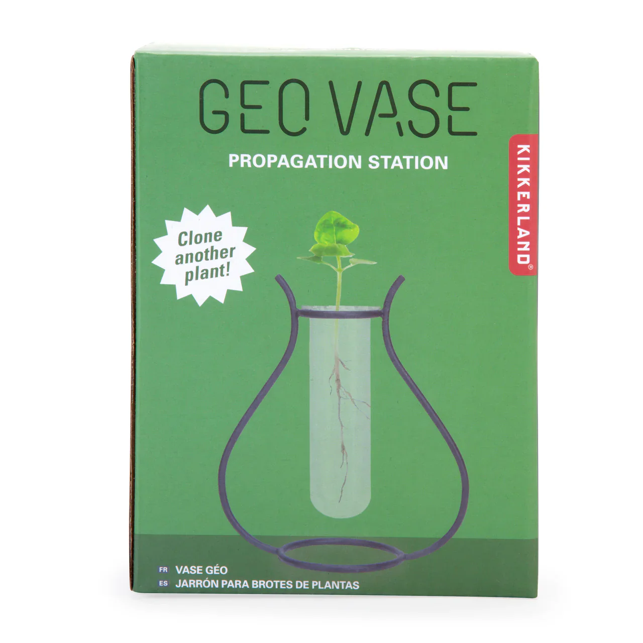 Kikkerland Geo Vase propagation Station (Shape Selected at Random) - Image 2