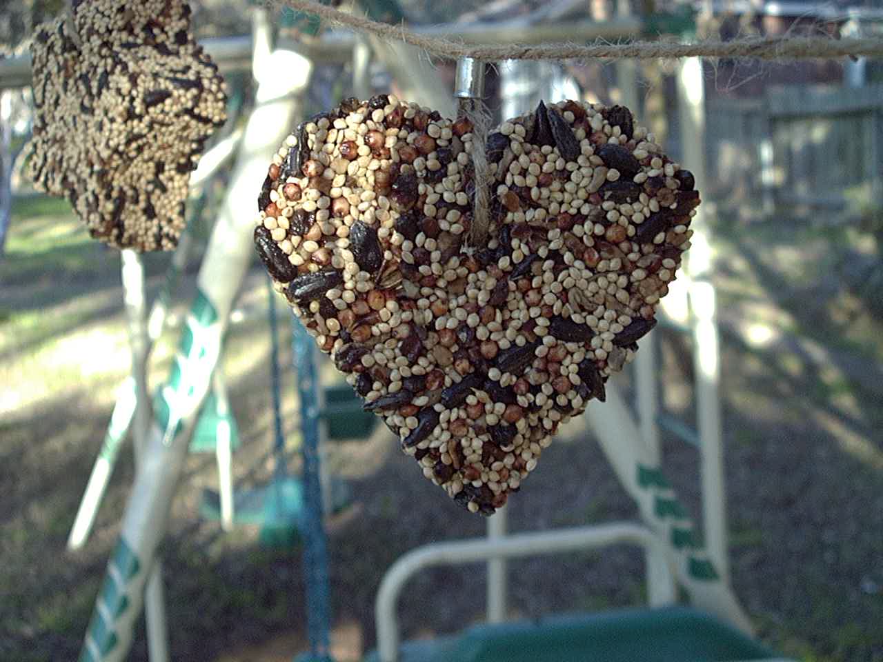 Little Heart Bird Treat - Image 3