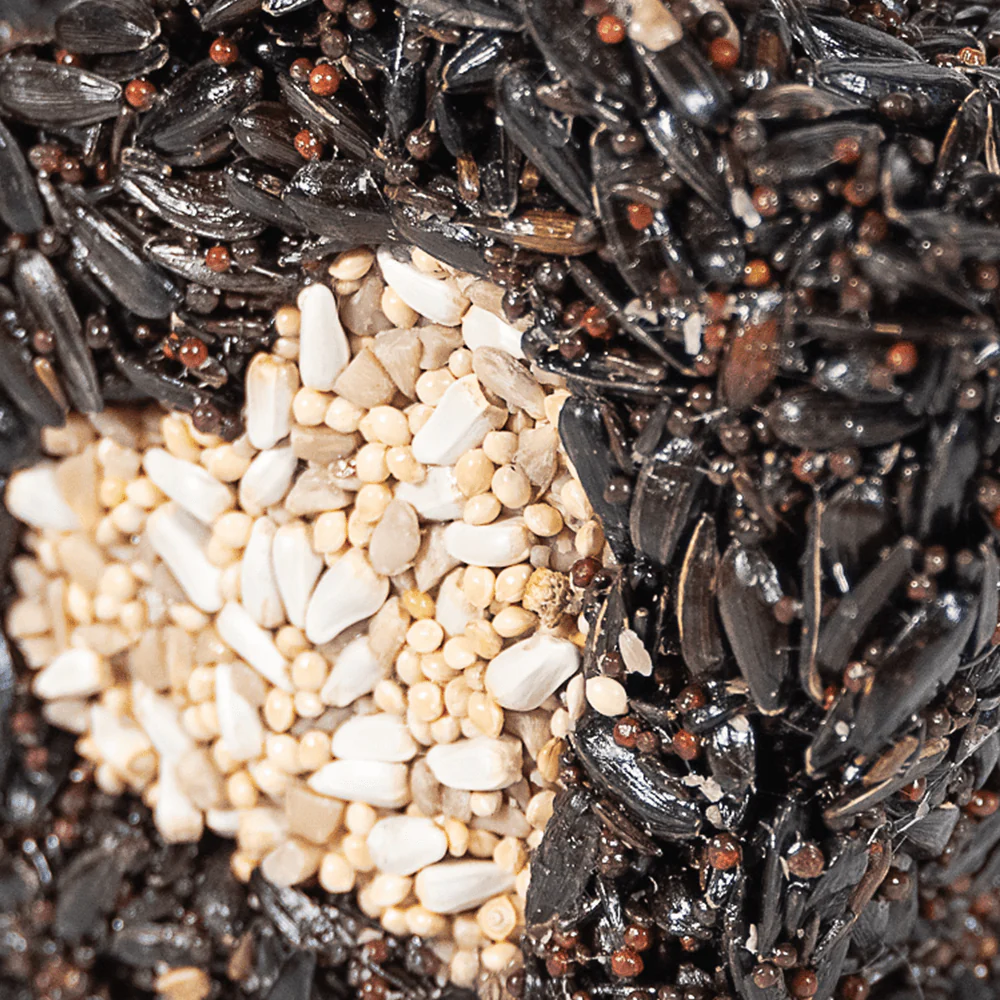 Lone Star Seed Treat - Image 4