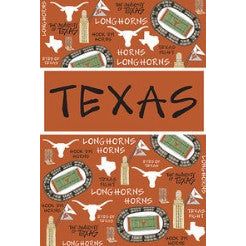 Magnolia Lane Texas Longhorn Icons Garden Flag (22576) - Image 2