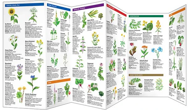 Medicinal Plants Pocket Guide & Identifier (9781583551905) - Image 2