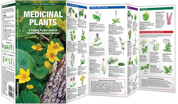 Medicinal Plants Pocket Guide & Identifier (9781583551905) - Image 3