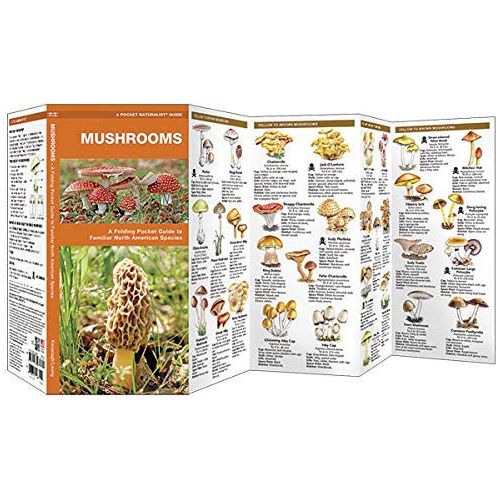 Mushrooms Pocket Guide To Familiar North American Species - Image 2