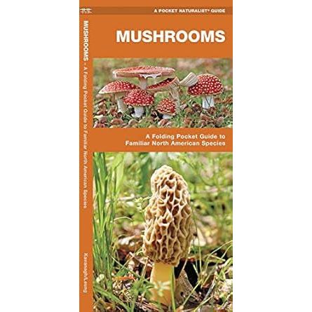 Mushrooms Pocket Guide To Familiar North American Species - Image 3