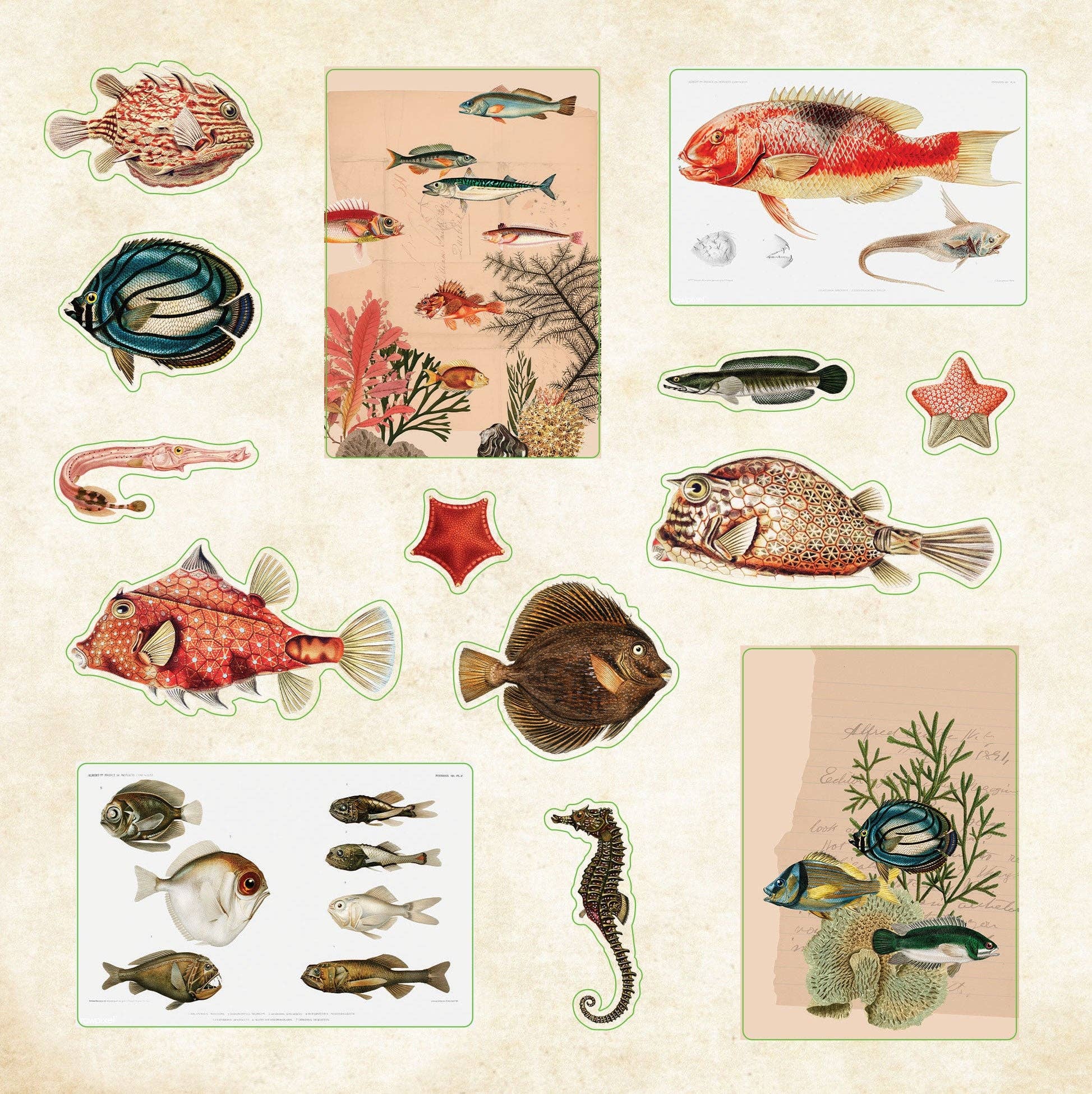 Poseidon's Kingdom Sticker Book - Image 4