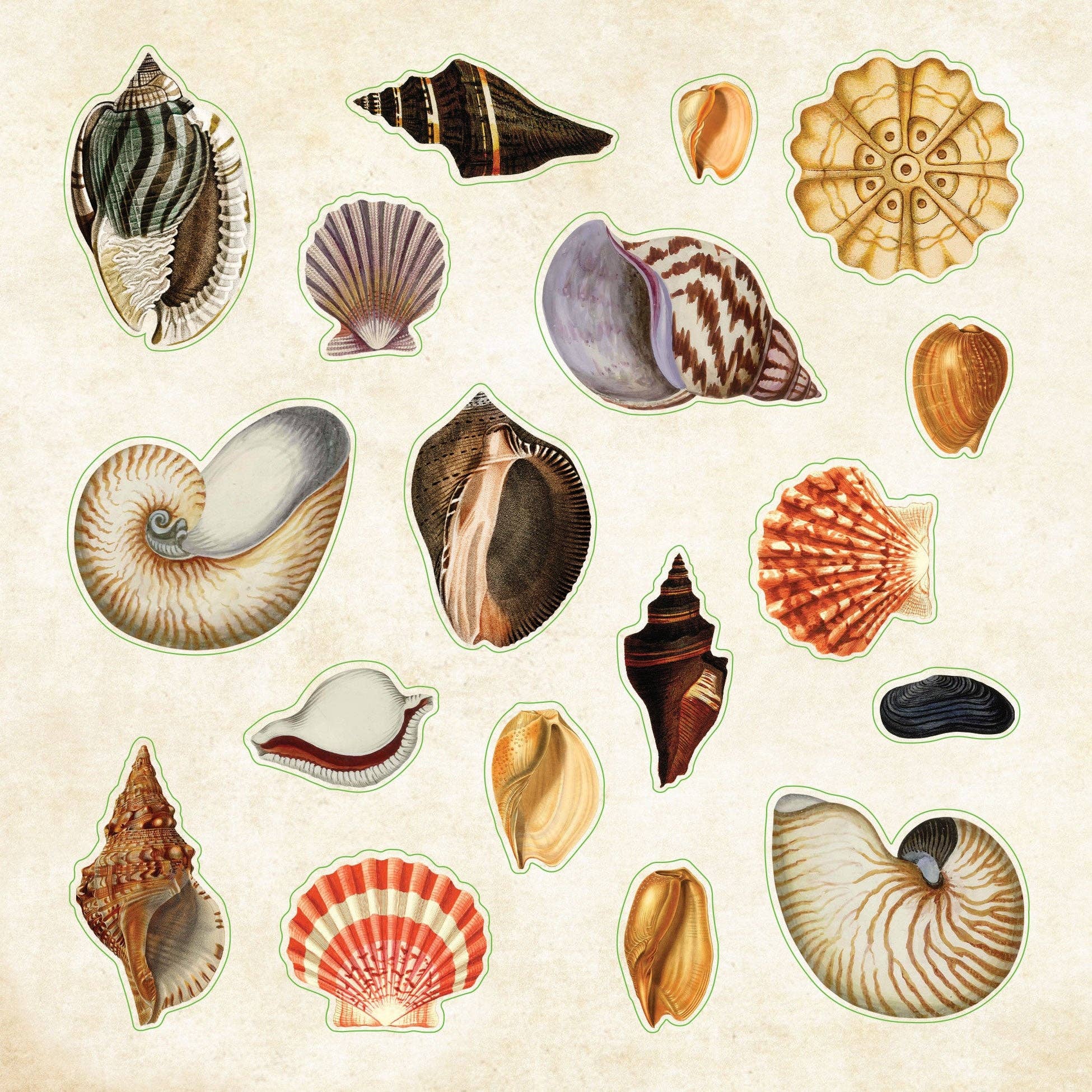 Poseidon's Kingdom Sticker Book - Image 6