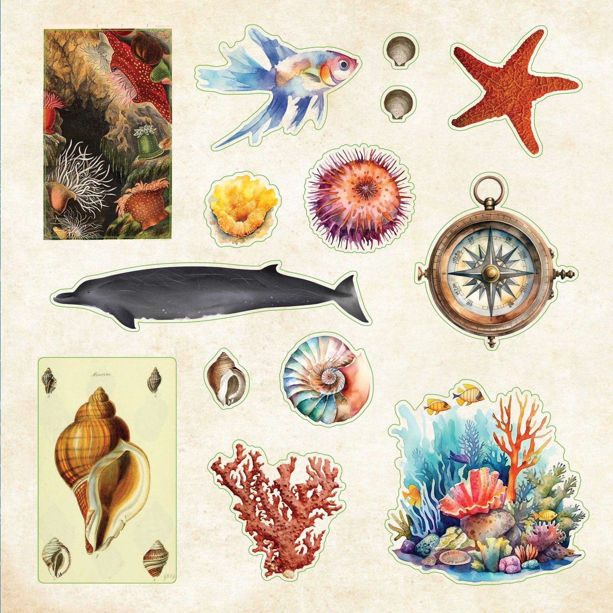 Poseidon's Kingdom Sticker Book - Image 7