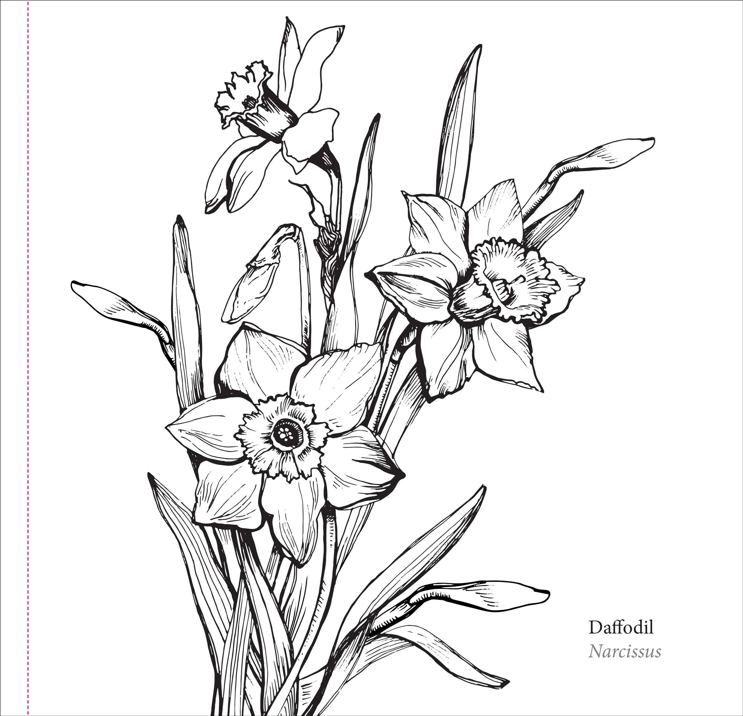 Spring Blooms Artist's Coloring Book - Image 2