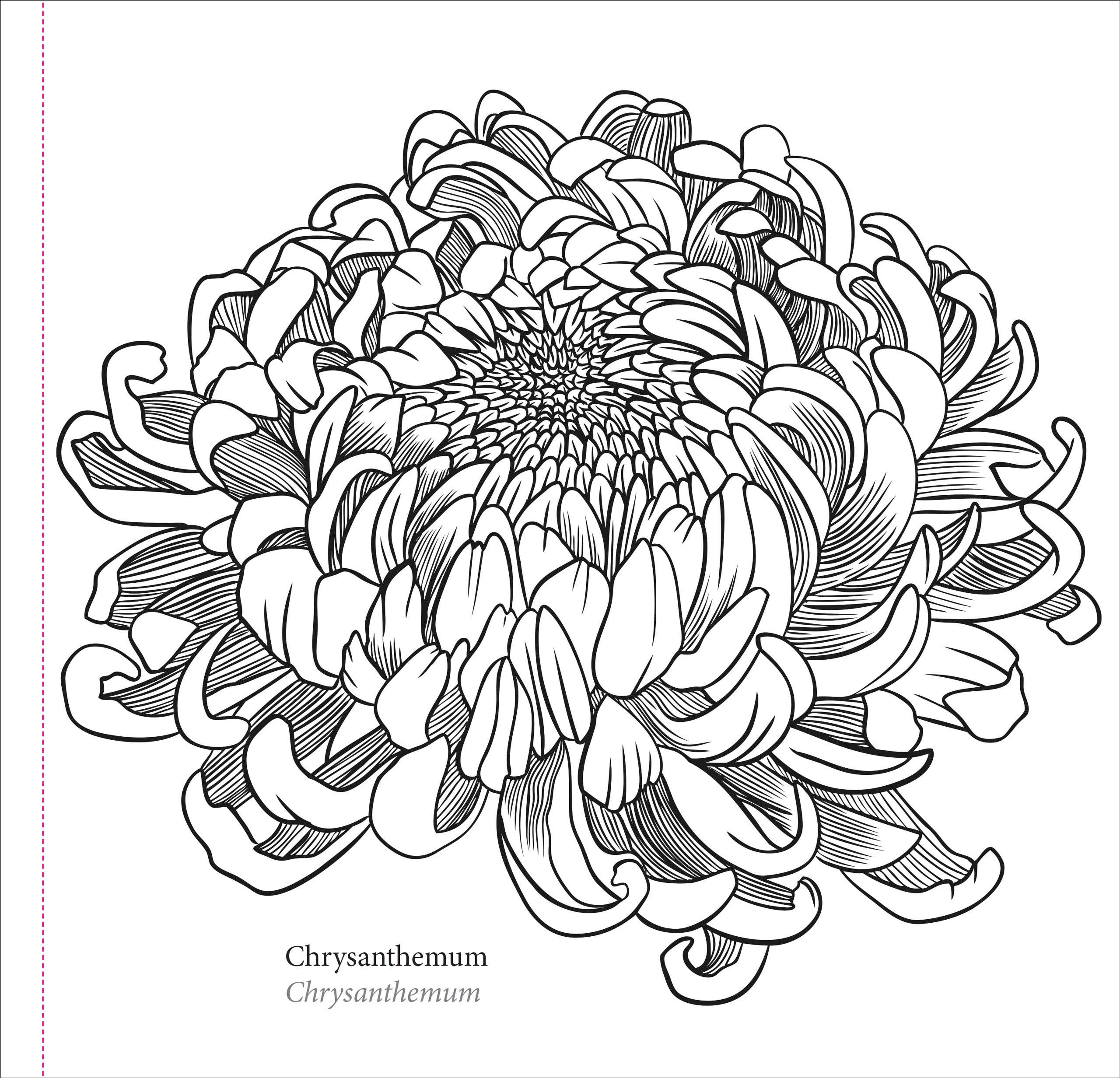 Spring Blooms Artist's Coloring Book - Image 3
