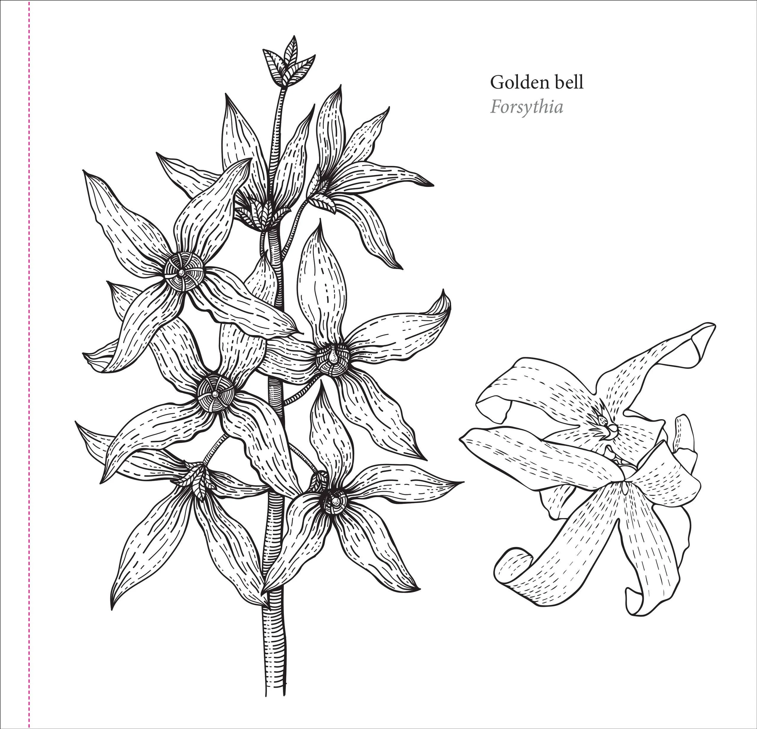 Spring Blooms Artist's Coloring Book - Image 6