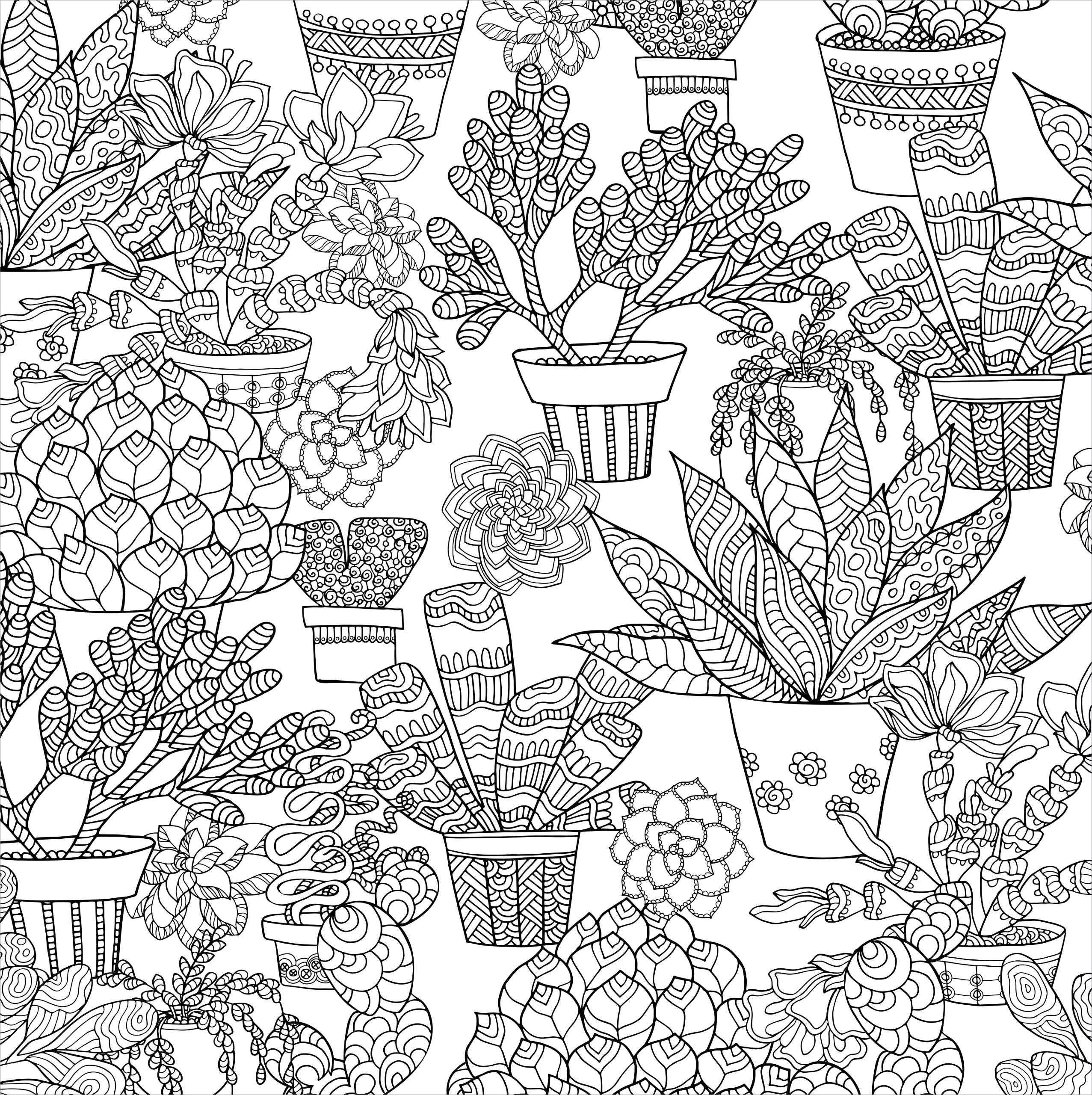 Succulents Artist's Coloring Book - Image 2