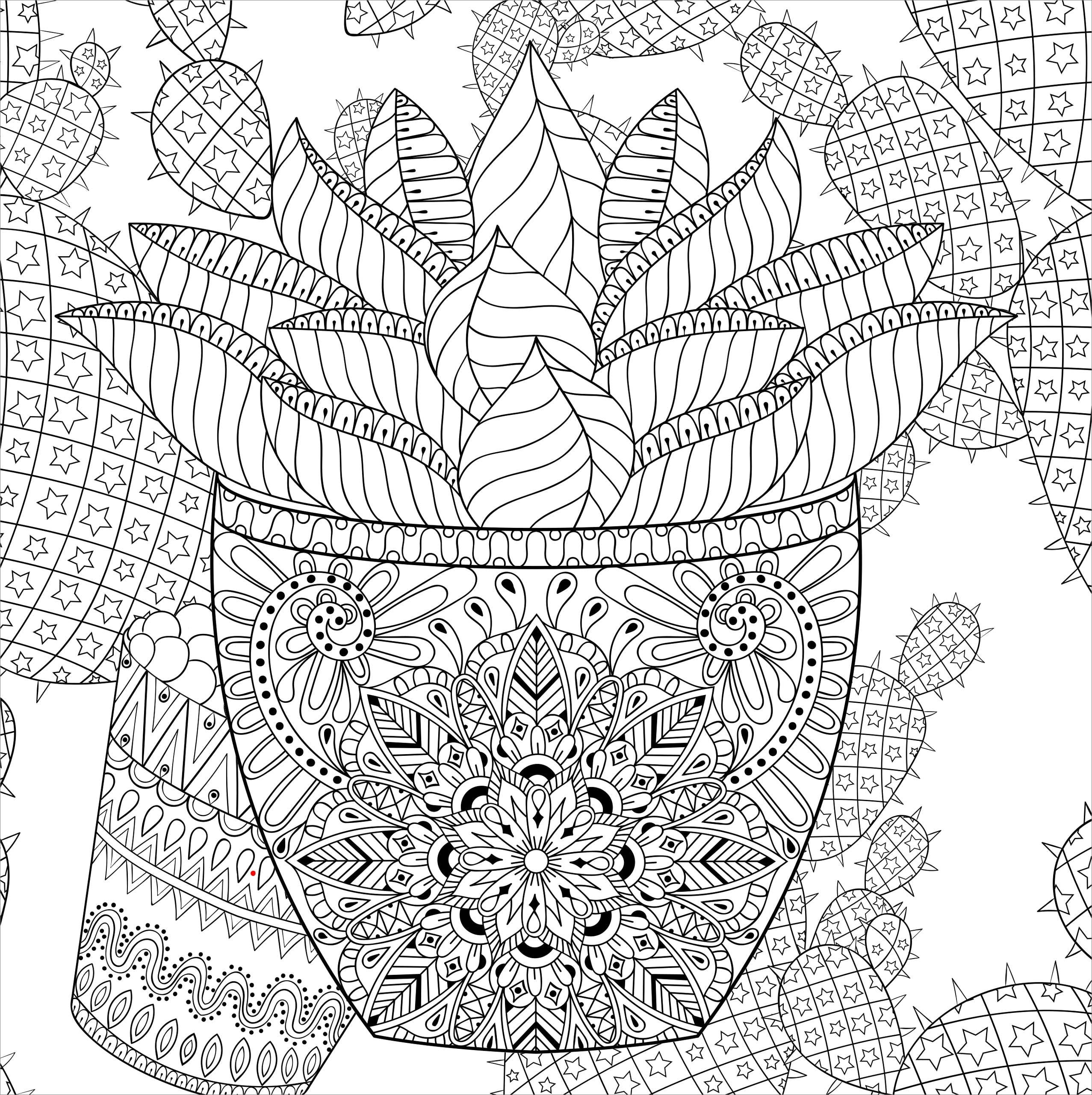 Succulents Artist's Coloring Book - Image 3