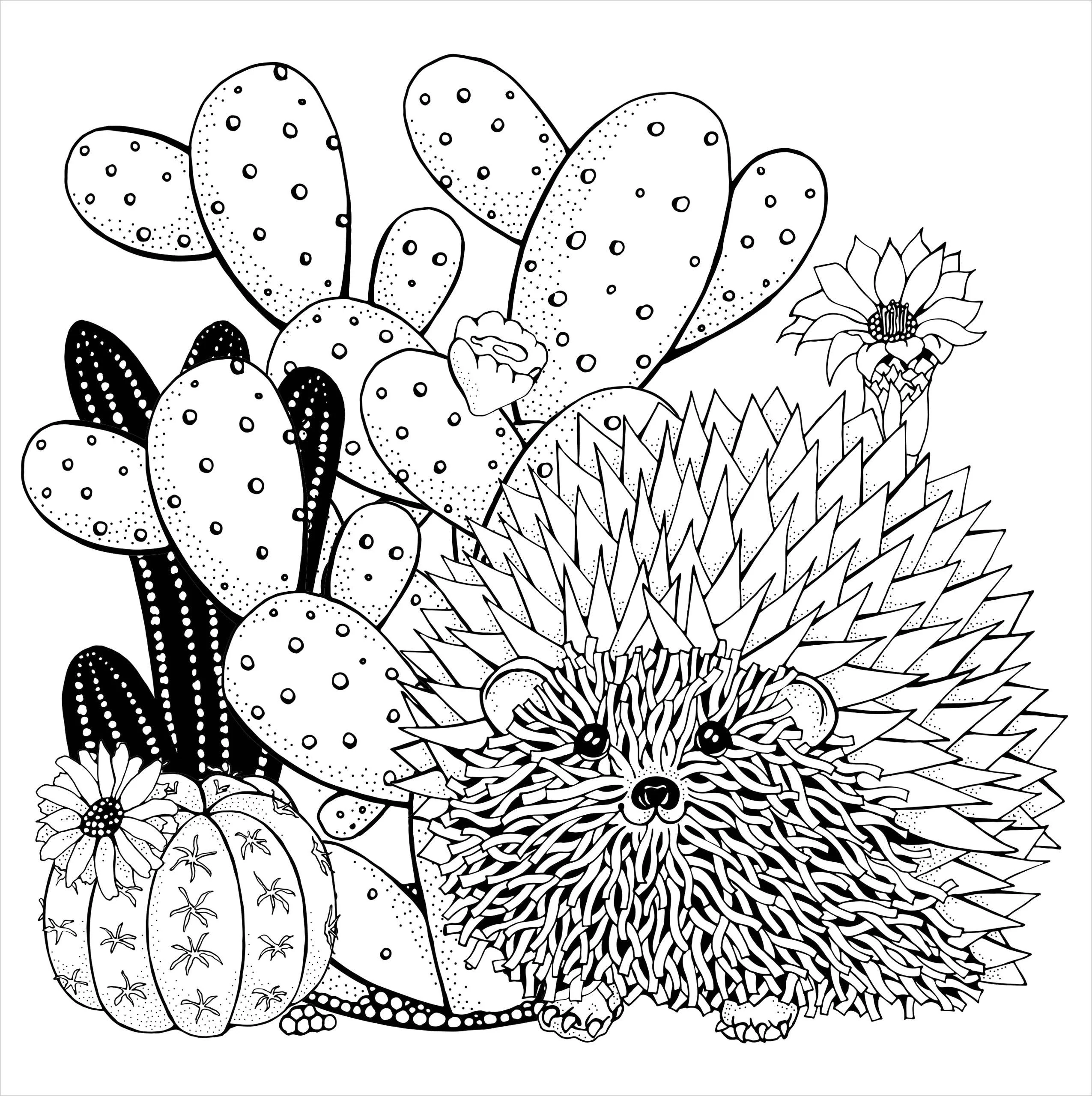 Succulents Artist's Coloring Book - Image 5