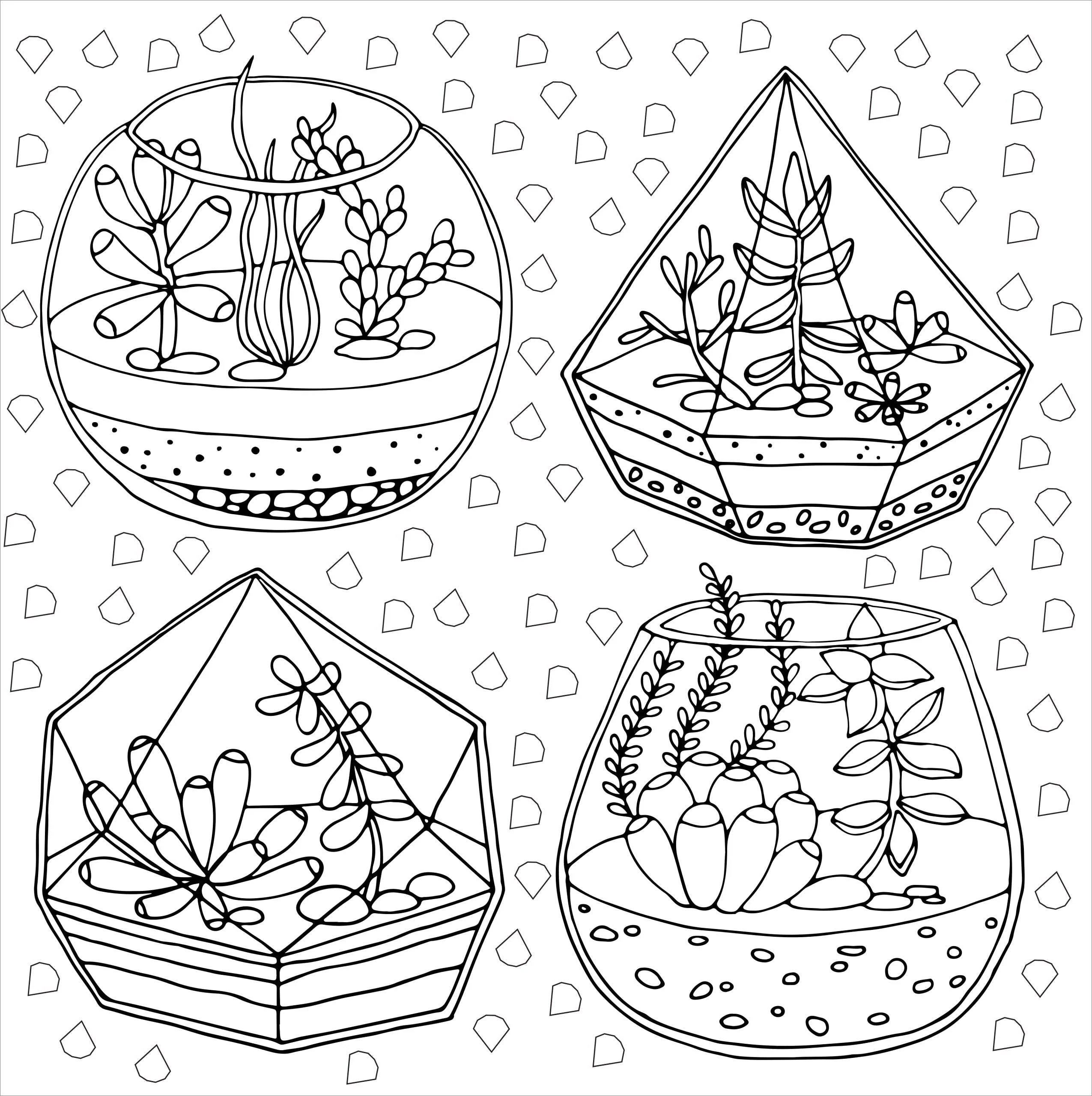 Succulents Artist's Coloring Book - Image 6