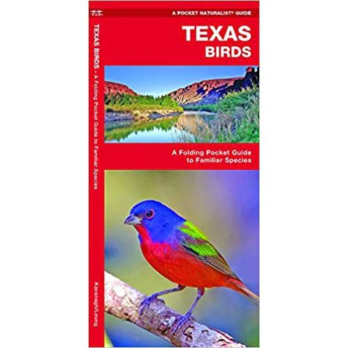 Texas Birds: A Folding Pocket Guide to Familiar Species (9781583551189) - Image 2