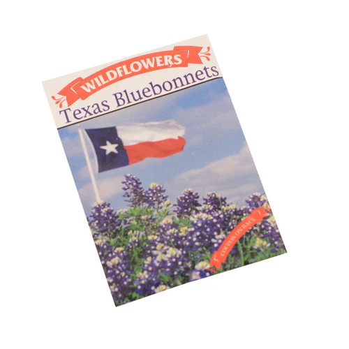 Texas Bluebonnet Seed Package - Image 2
