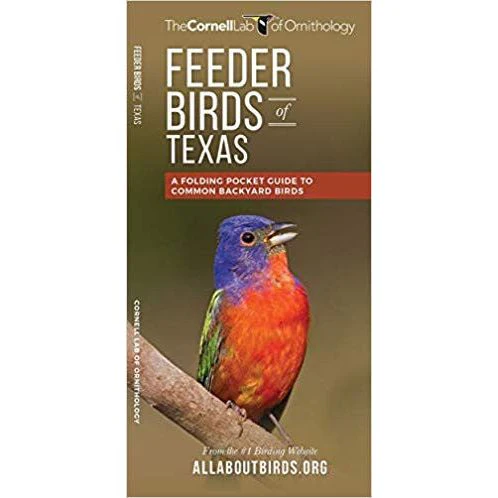 Texas Feeder Birds: A Folding Pocket Guide to Backyard Birds (9781620052204) - Image 2