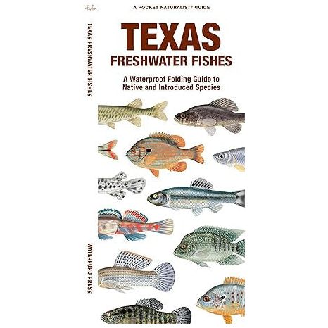 Texas Freshwater Fishes Pocket Guide - Image 2