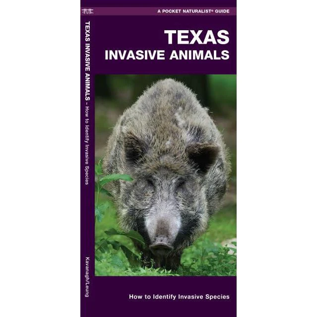 Texas Invasive Animals Pocket Guide (9781620053775) - Image 2
