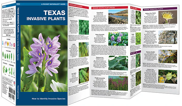 Texas Invasive Plants Pocket Guide (9781620054321) - Image 2