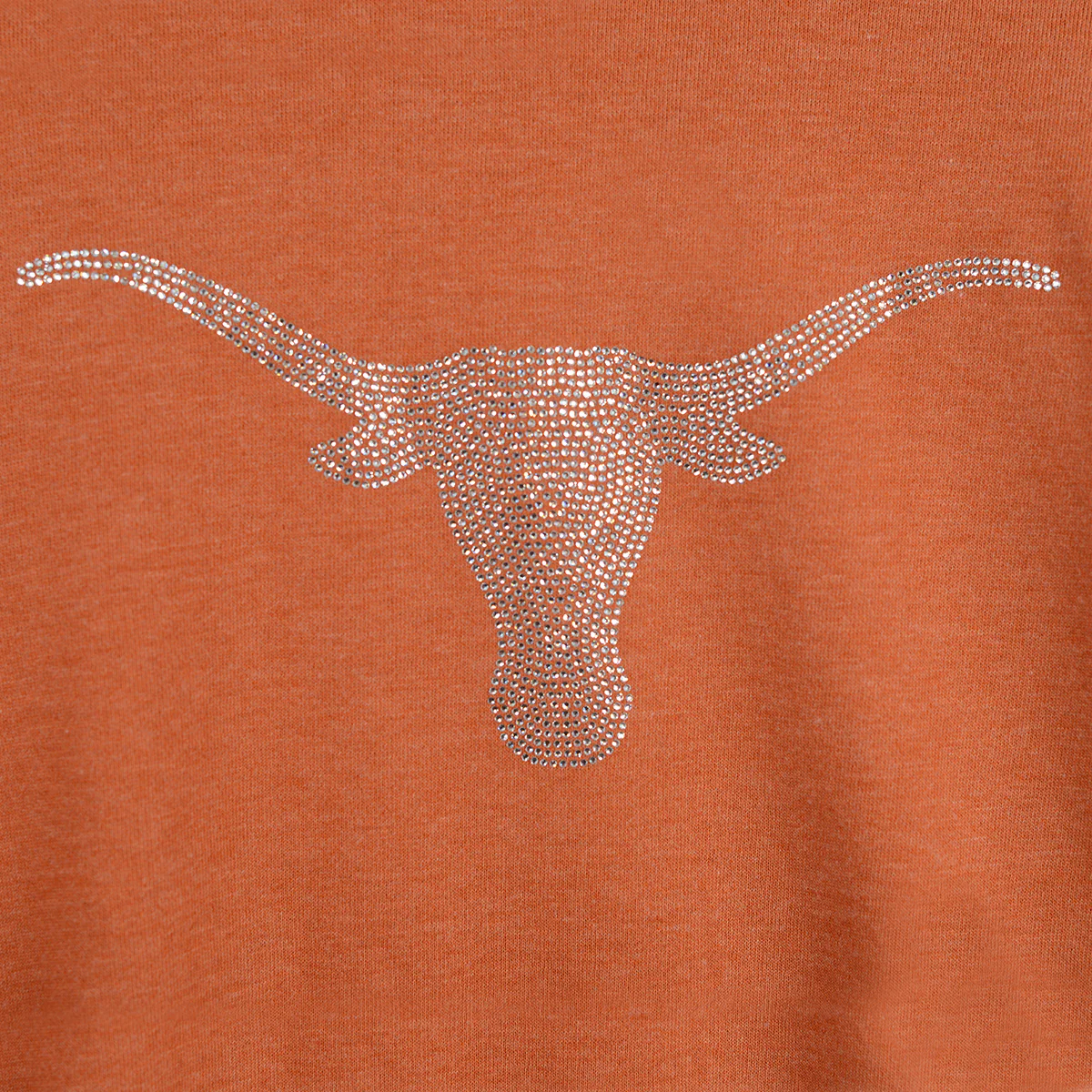 Texas Longhorn Flying Colors Ladies Brooklyn Sweatshirt (GFW648TEX3)(Burnt Orange ) - Image 2