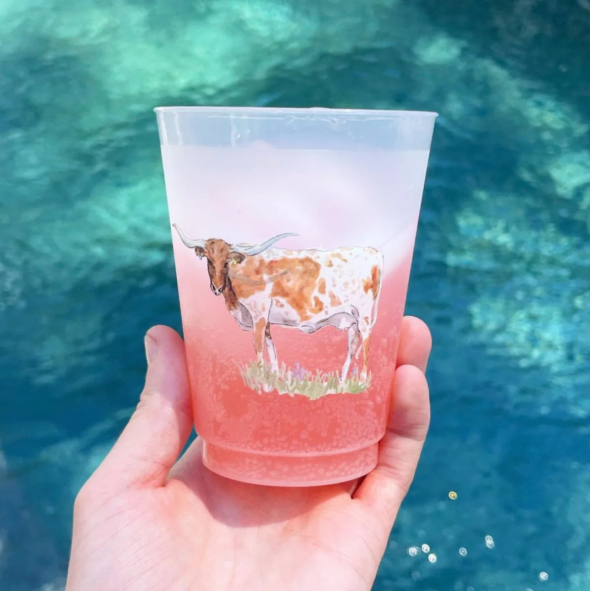 Taylor Paladino Texas Longhorn Frosted Plastic drink Cups | Set of 6 - Image 3