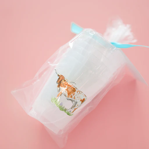 Taylor Paladino Texas Longhorn Frosted Plastic drink Cups | Set of 6 - Image 4