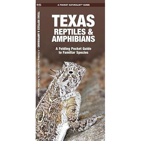 Texas Reptiles & Amphibians Pocket Guide (9781620053706) - Image 3