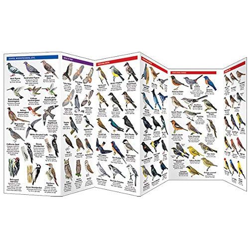 Western Backyard Birds Pocket Guide (9781583550892) - Image 2