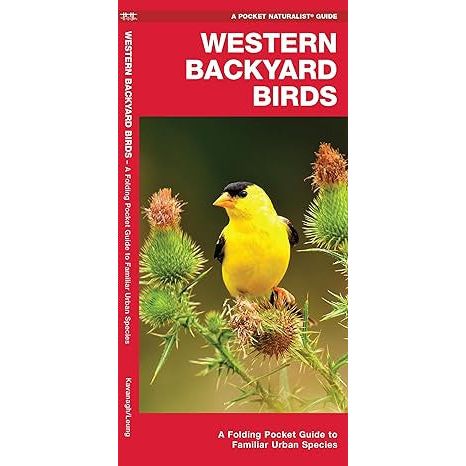 Western Backyard Birds Pocket Guide (9781583550892) - Image 3