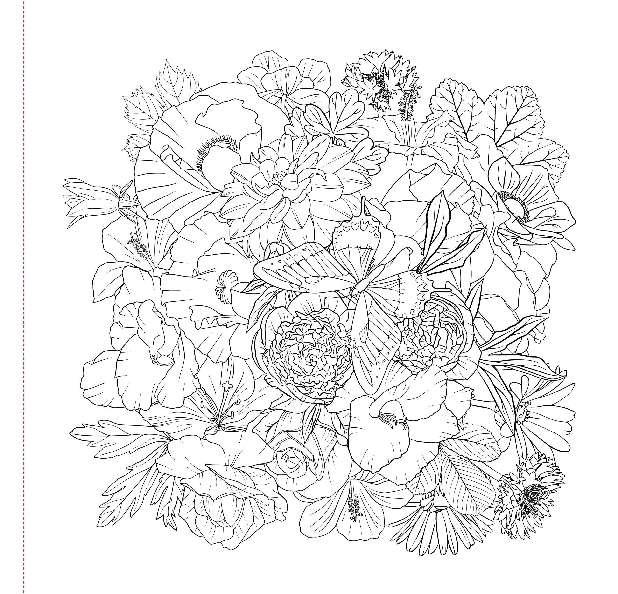 Wildflowers Adult Coloring Book - Image 3