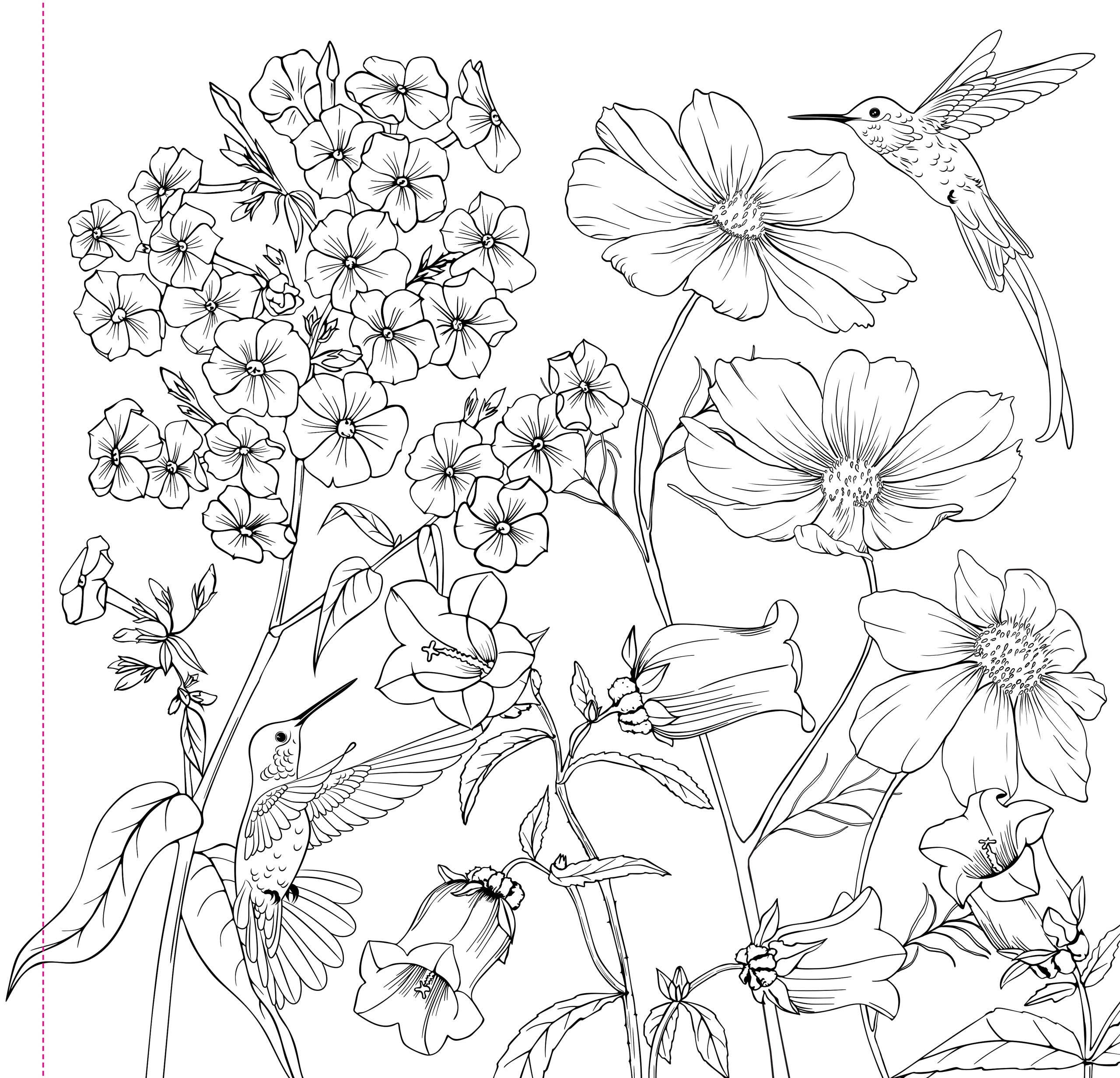 Wildflowers Adult Coloring Book - Image 4